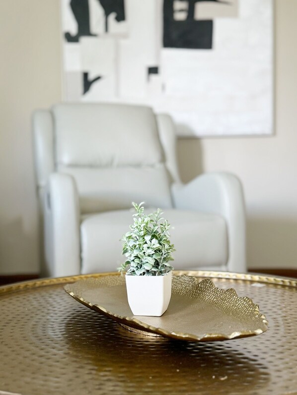 A small potted plant on a textured tray in front of a white armchair. - 2 KING BR/1BA In Evansville, IN Fenced in Yard. Fast wifi. Washer and Dryer (Evansville)