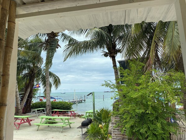 A beachside patio with picnic tables, a grill, and palm trees.