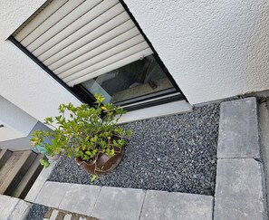 Detalle exterior