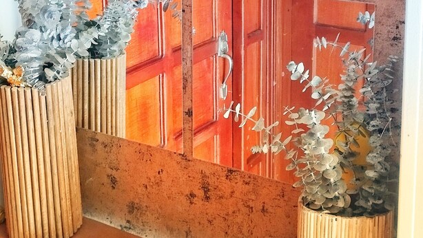 Pared con un panel grande y reflectante que muestra un diseño de puerta. A cada lado del panel, hay dos macetas con flores artificiales.