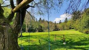 Ein Rasenbereich im Freien mit einer Schaukel und einer Holzschaukel.