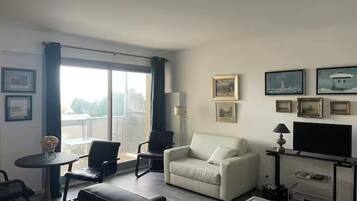 Télévision, lecteur de DVD, livres, chaßne hi-fi