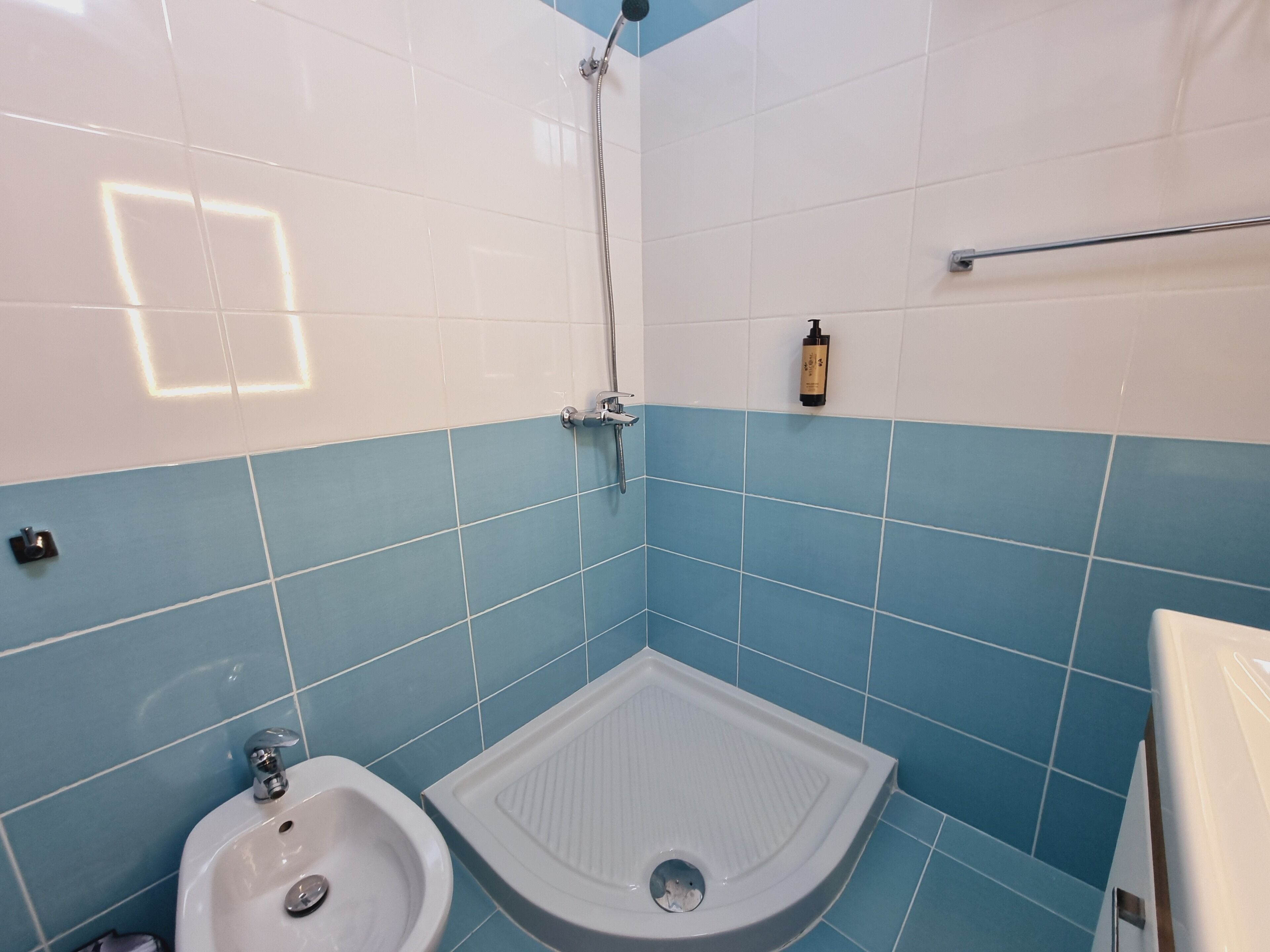 A bathroom with a shower, a bidet, and a toilet.