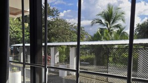 Vista a través de una ventana con mosquitero, mostrando un cielo despejado, palmeras y un edificio al fondo.