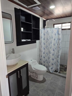 Shower, towels, toilet paper
