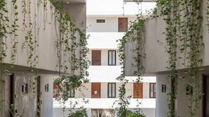 A courtyard with a central pathway surrounded by lush greenery and white walls with hanging vines.