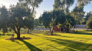 Un'area verde curata con alberi, una panchina e un fienile rosso sullo sfondo.