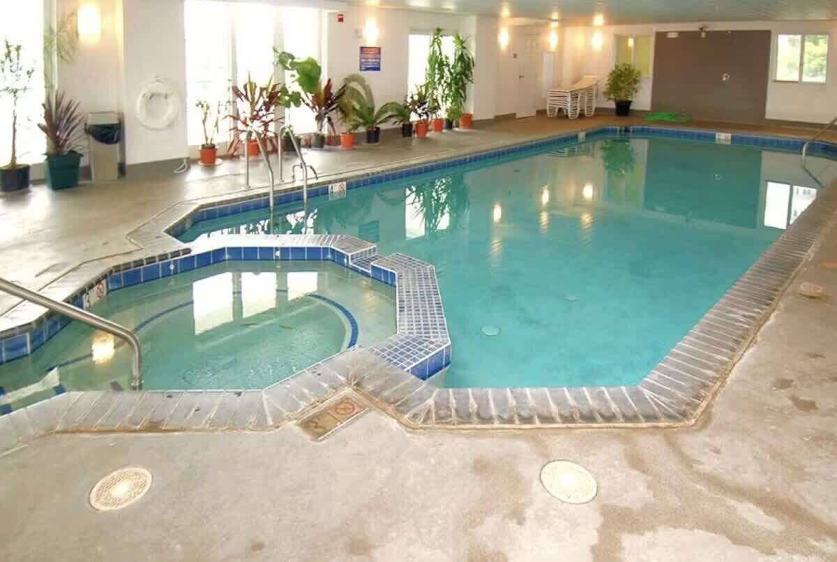 En indendørs swimmingpool med krystalklart vand, fliseterrasse og krukkeplanter langs kanten.