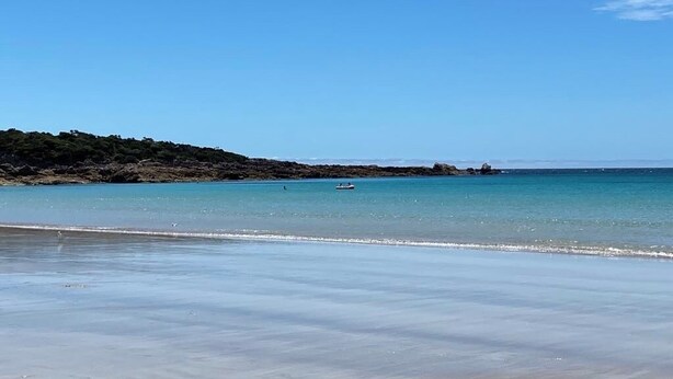 Ein Strand mit ruhigem Wasser, einer fernen felsigen Küste und einem klaren Himmel.