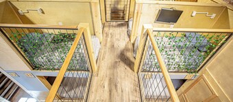 Private Rental - sleeps up to 24 in Santa Barbara on State Street! 