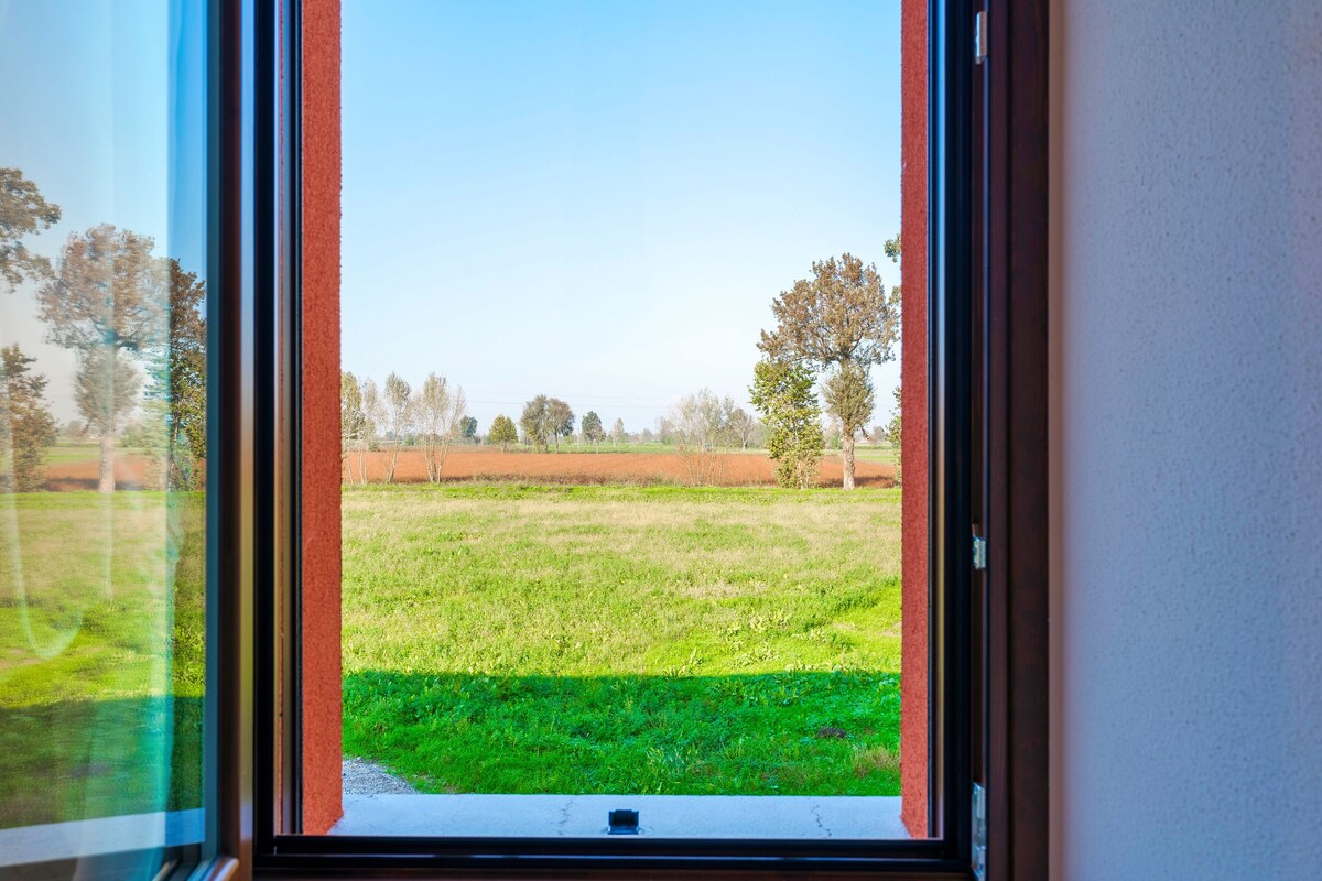 A window with a view of a grassy field and trees.
