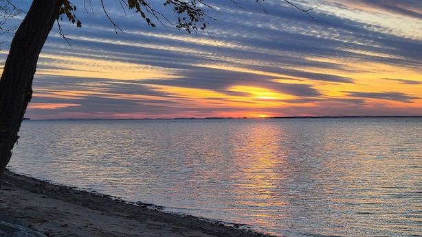 Atardecer sobre un mar tranquilo con un árbol a la izquierda y un horizonte despejado.