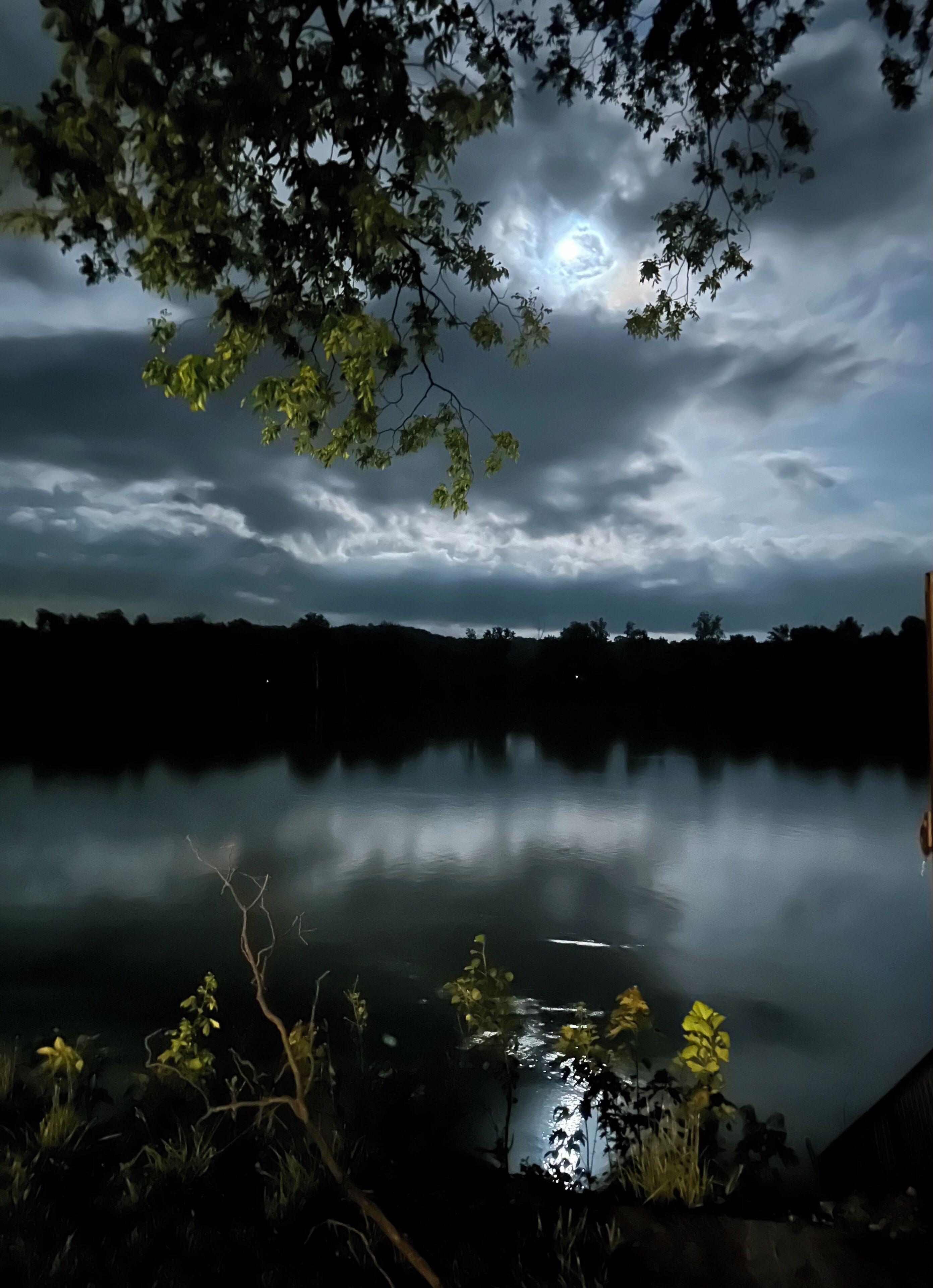 Vista nocturna de un lago con una luna llena reflejada en el agua, rodeado de árboles y vegetación.