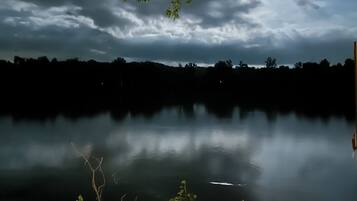 Vista nocturna de un lago con una luna llena reflejada en el agua, rodeado de árboles y vegetación.