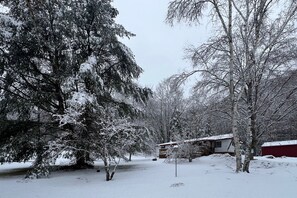 Exterior - Comfortable dog-friendly home w/ pond view, deck, gas grill, wifi, TVs, kitchen (Bridgewater)