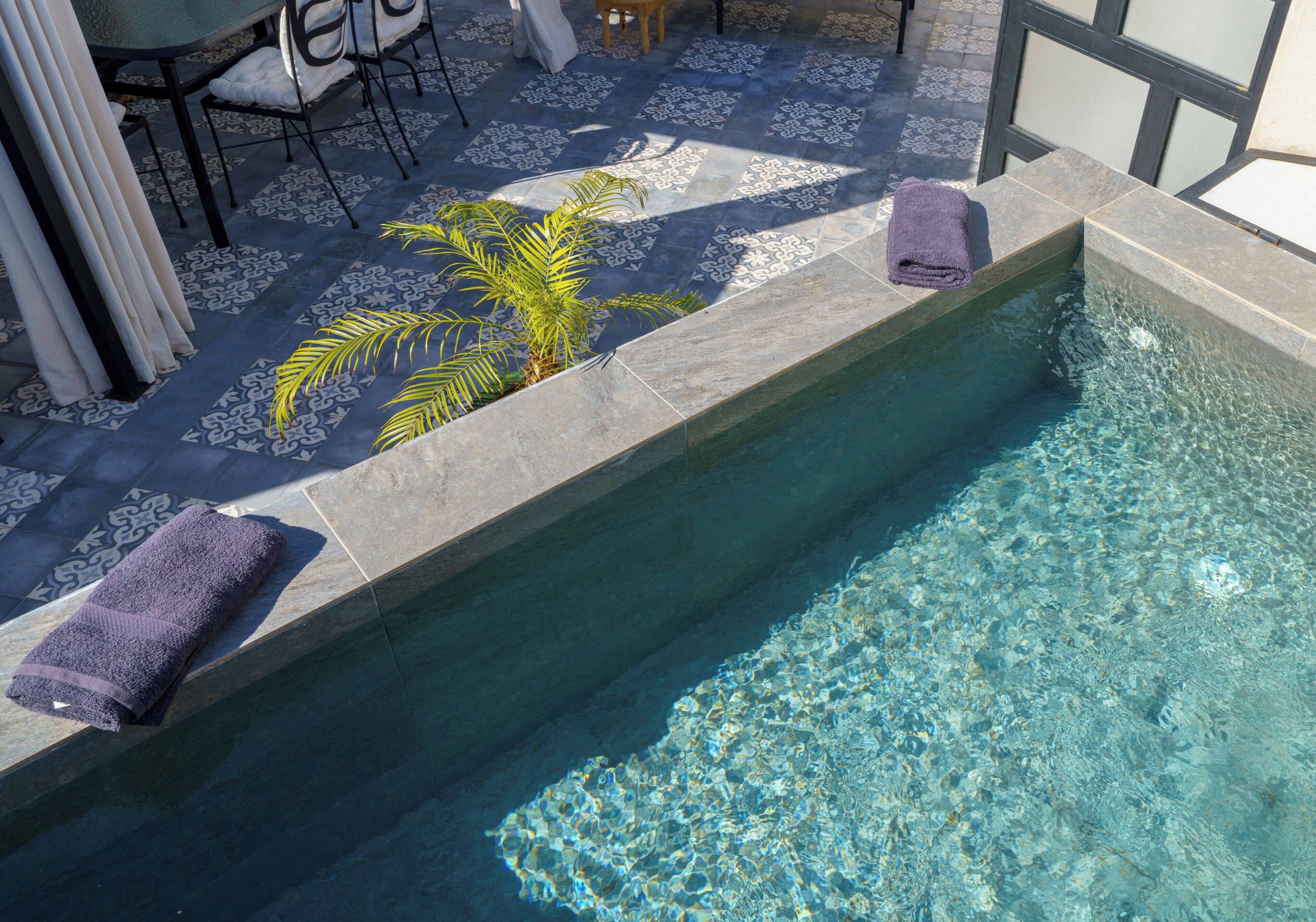 A pool with clear water, a towel, and a palm plant.