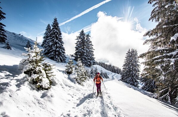 Snow and ski sports