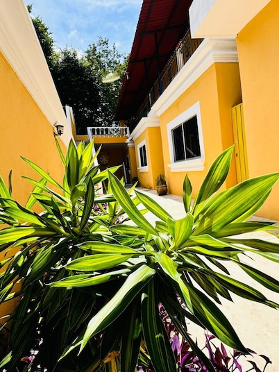 Hotel Rodriguez