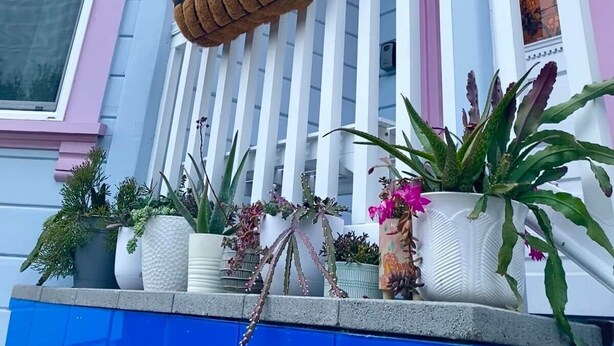 Un bâtiment à deux étages doté d’un porche, d’une jardinière suspendue et de plantes en pot.