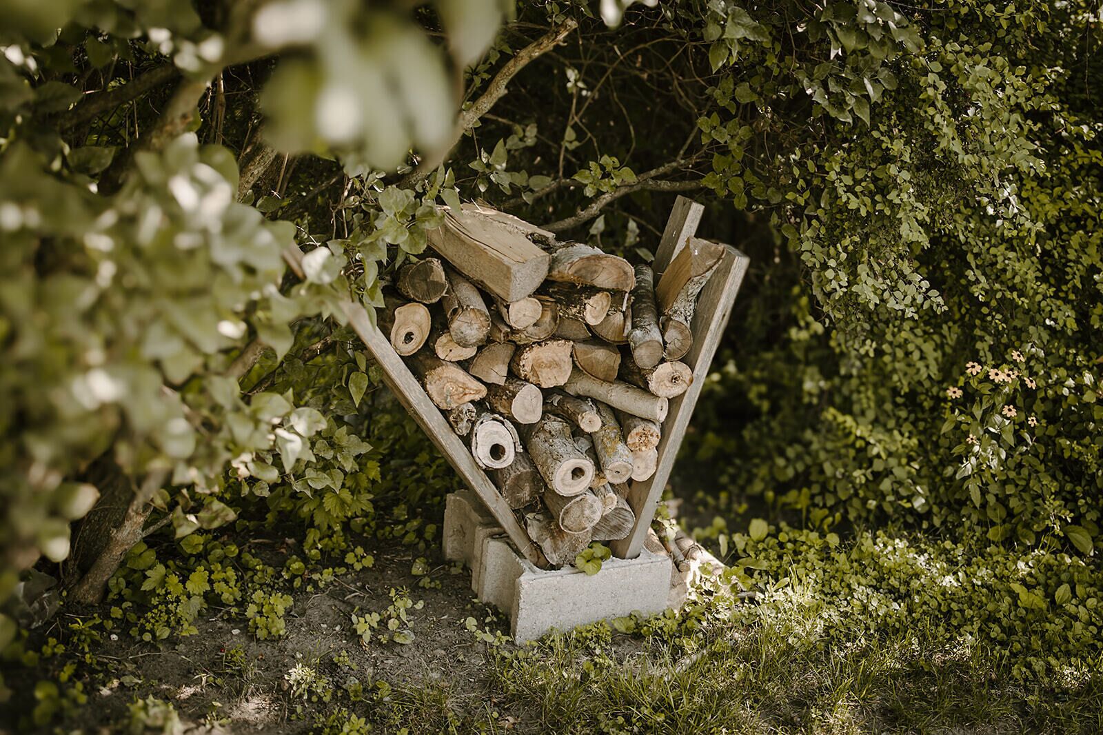A pile of logs stacked in a triangular arrangement, surrounded by dense foliage.