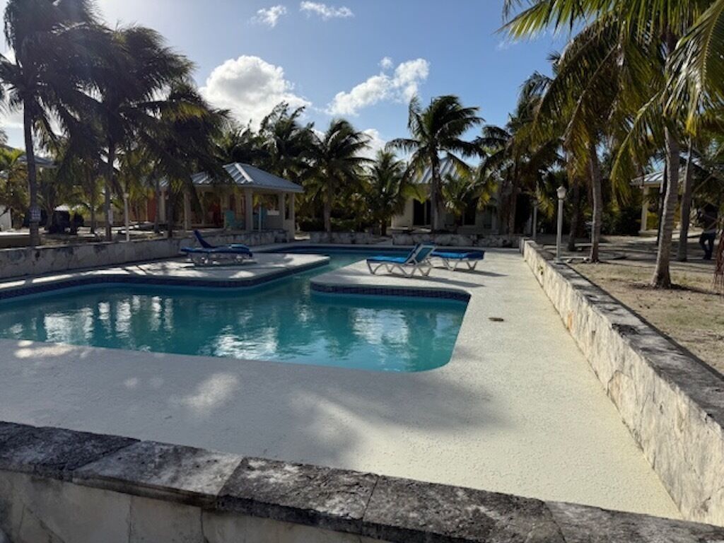 A swimming pool with lounge chairs, surrounded by palm trees and a small building.