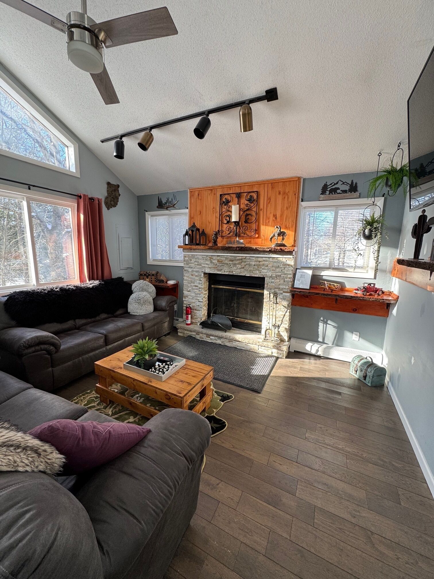 Smart-TV, peis, videospill og bøker