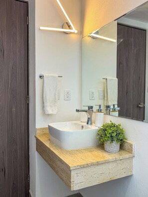 Une salle de bain moderne avec un grand lavabo rectangulaire, un miroir et une plante en pot posée sur le comptoir.