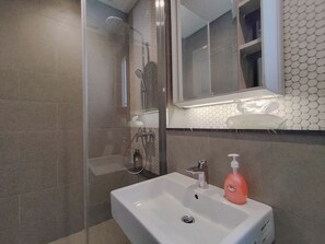 Bathroom features a glass-enclosed shower, wall-mounted showerhead, and a single sink with a mirror above.