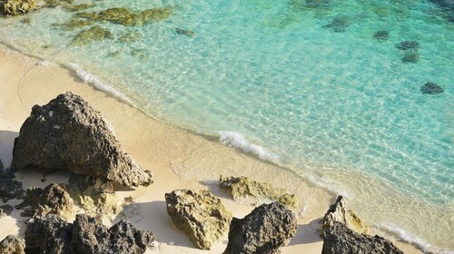 Nonsmoking Okinawa Agu pork shabushabu dinner Comfort Queen / Yaeyamagun Okinawa