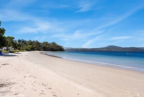 Una playa con agua cristalina, una orilla de arena y un área boscosa al fondo.