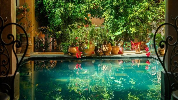 A pool with potted plants and flowers around it, surrounded by a garden. - Riad Roxanne (Marrakech)
