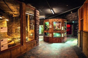 Deluxe appartement, 1 slaapkamer | Interieur