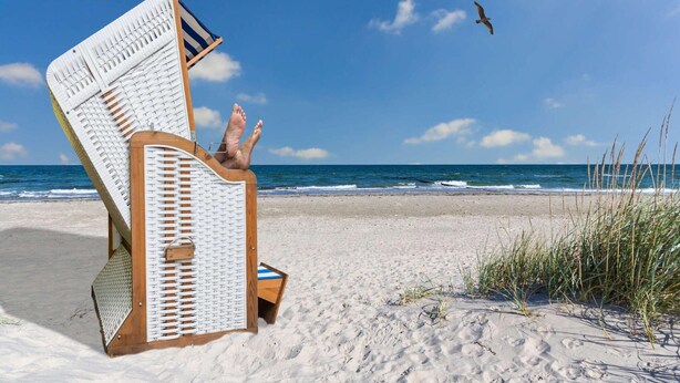 A beach chair with a seagull perched on it, a person sitting on the chair, and a bird flying in the sky. - Appartements im Freizeitpark Weissenhaeuser Strand (Wangels)