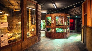 A museum exhibit with glass enclosures and informational plaques. - Appartements im Freizeitpark Weissenhaeuser Strand (Wangels)