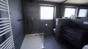 Shower, hair dryer