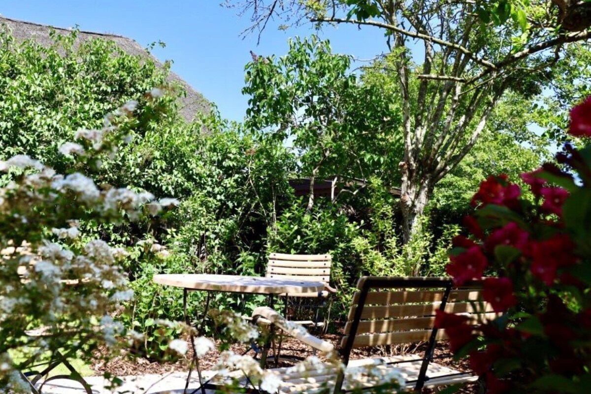 Un jardín con banco y mesa de madera, rodeado de plantas y árboles.