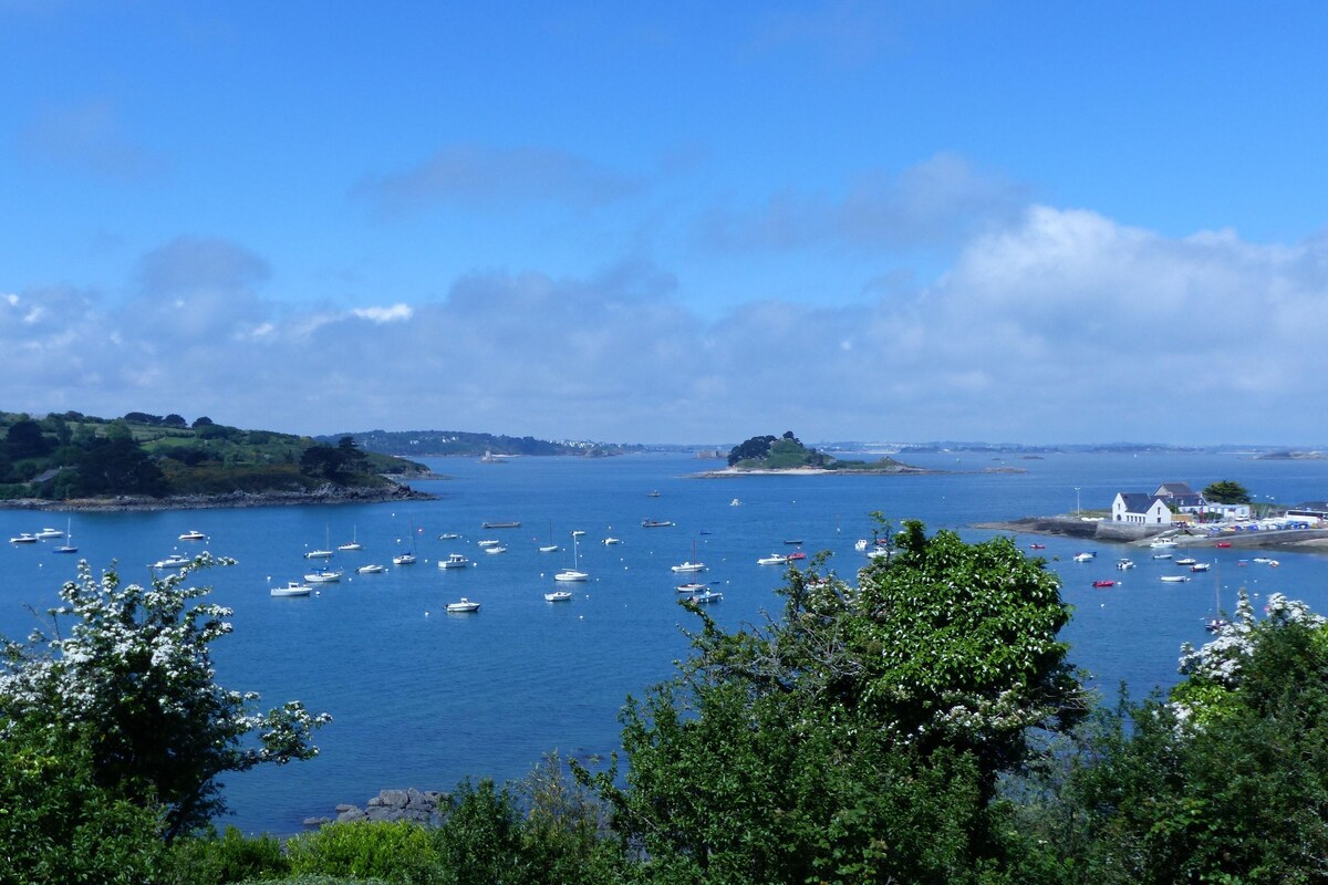 A coastal view with boats, greenery, and a white building.
