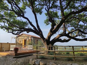 คอมฟอร์ทวิลล่า, 2 ห้องนอน | บริเวณภายนอก