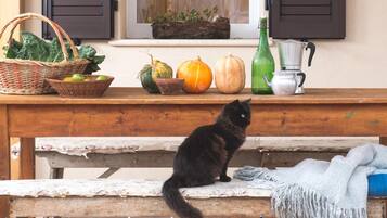 Classic-hus - 2 soveværelser | Indvendig detalje