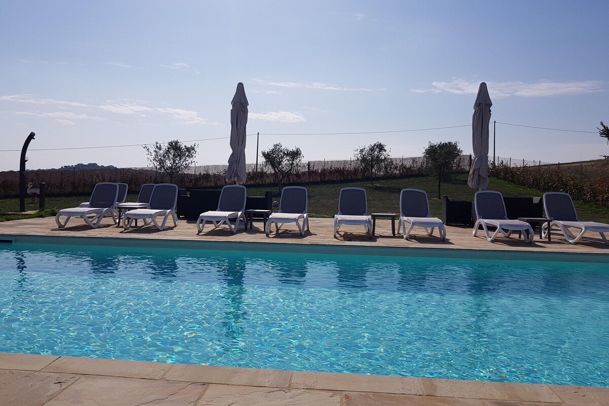 Piscina con sillas de descanso y sombrillas, rodeada por una valla y follaje.