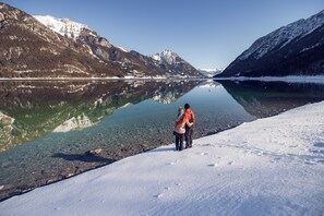 View from property - Apartment at the Achensee (Eben am Achensee)
