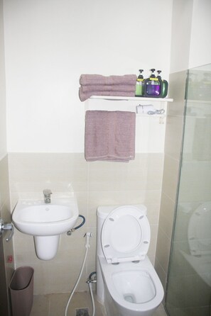 Secador de pelo, toallas, jabón, papel higiénico