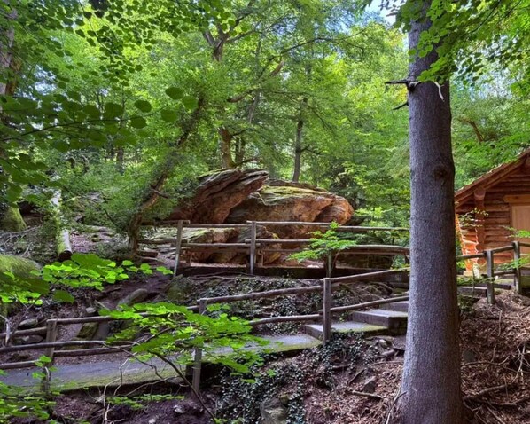 Appartamento Classic, 1 camera da letto | Vista dalla struttura