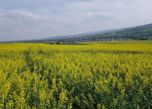 Blick von der Unterkunft