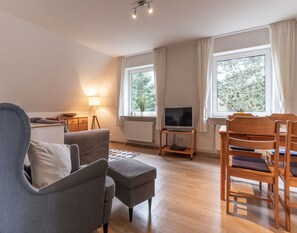 Comfort Apartment, 2 Bedrooms | Living room | DVD player