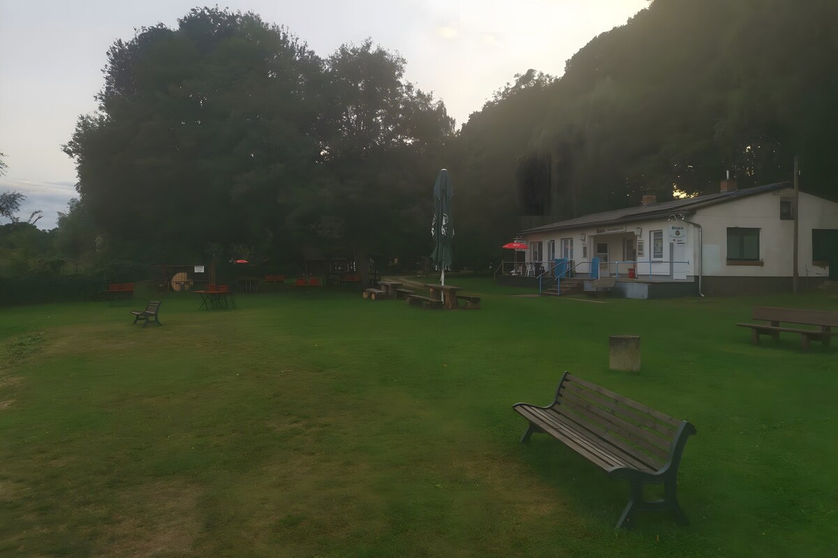 Un espacio al aire libre con césped, una banca, mesas de picnic y un edificio con la leyenda 'Biscoo'.
