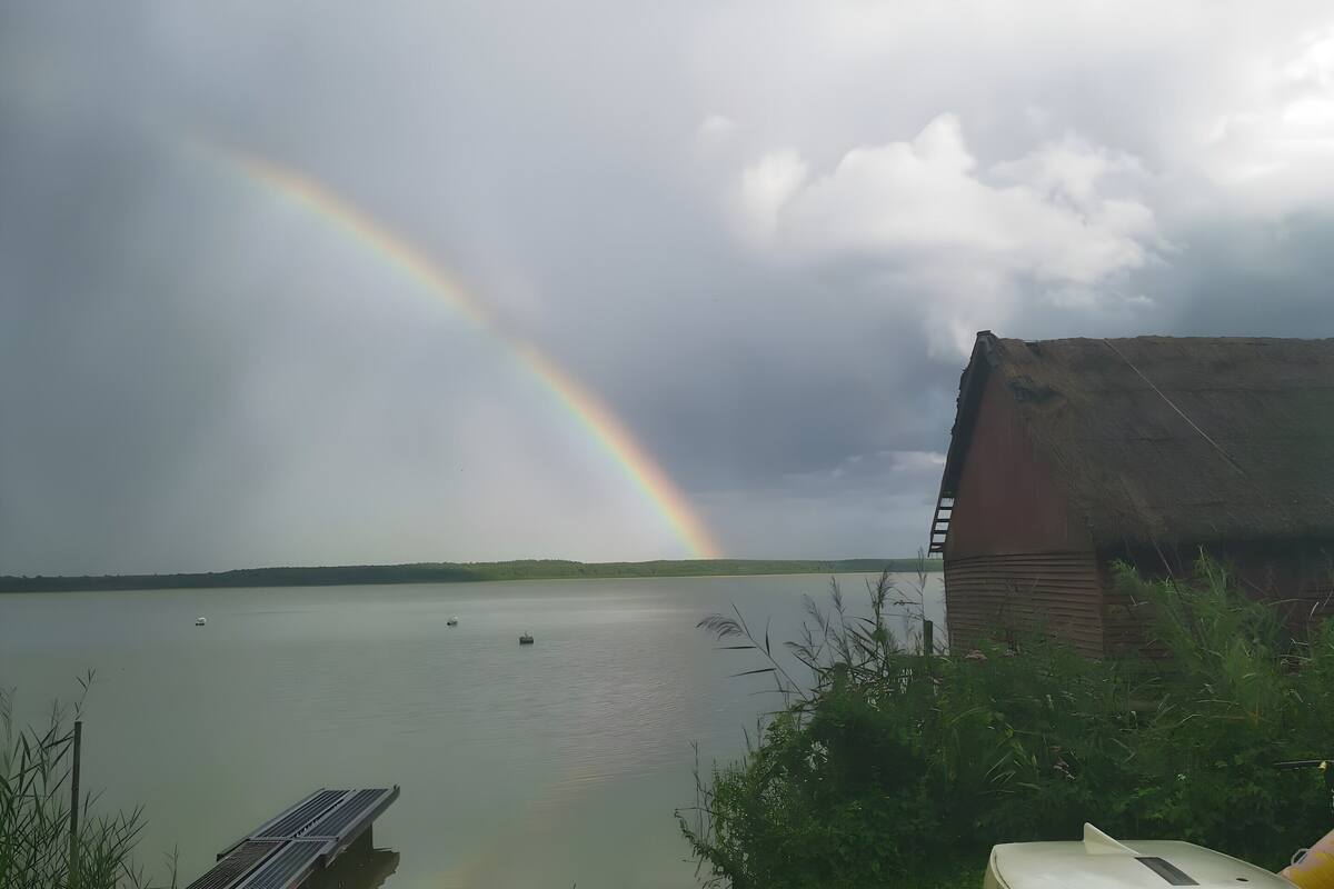 View from property
