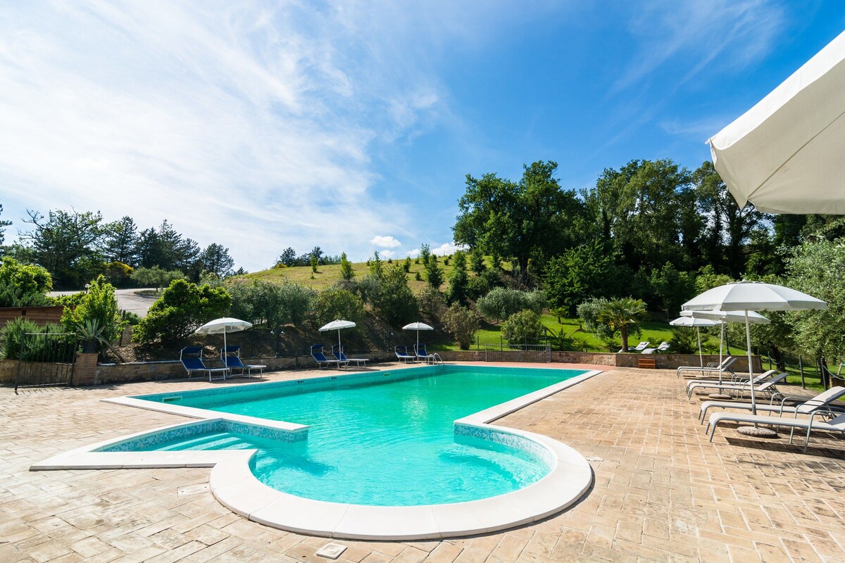 A rectangular swimming pool with a tiled edge, surrounded by lounge chairs and umbrellas, set against a backdrop of trees and a clear sky.