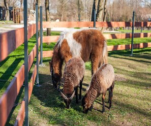 Maison Classique, 3 chambres | Détail de l’intérieur