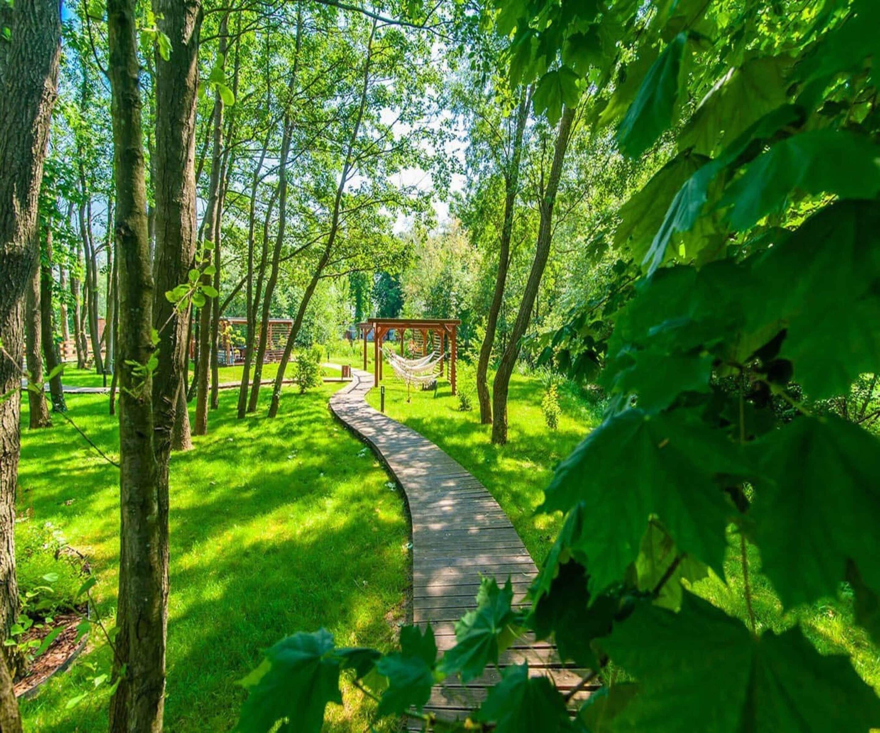 Pemandangan dari properti